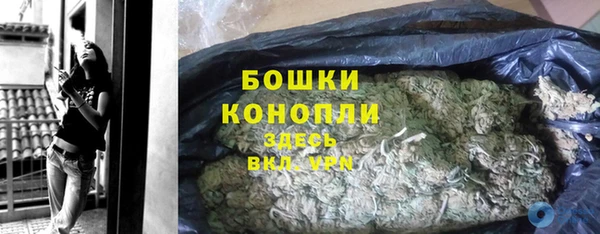 трава Снежногорск