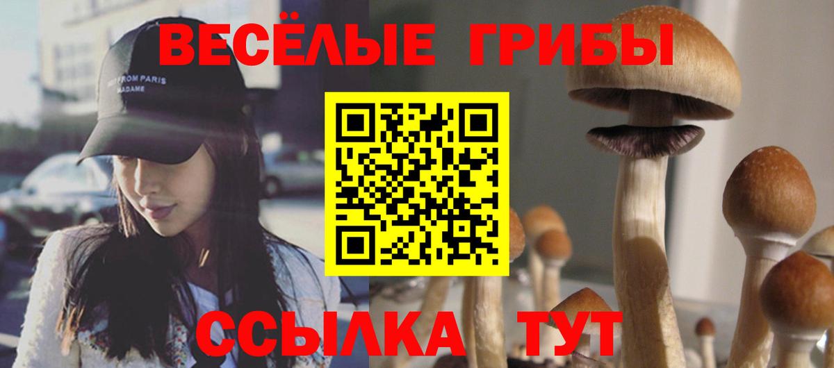 Куйбышев  Галлюциногенные грибы прущие грибы  Вход с VPN  Галлюциногенные грибы мухоморы 