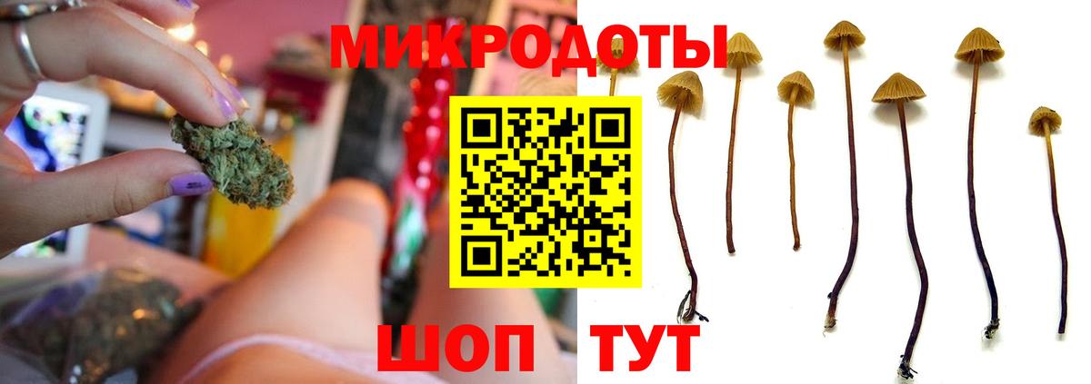 Псилоцибиновые грибы Psilocybine cubensis Куйбышев